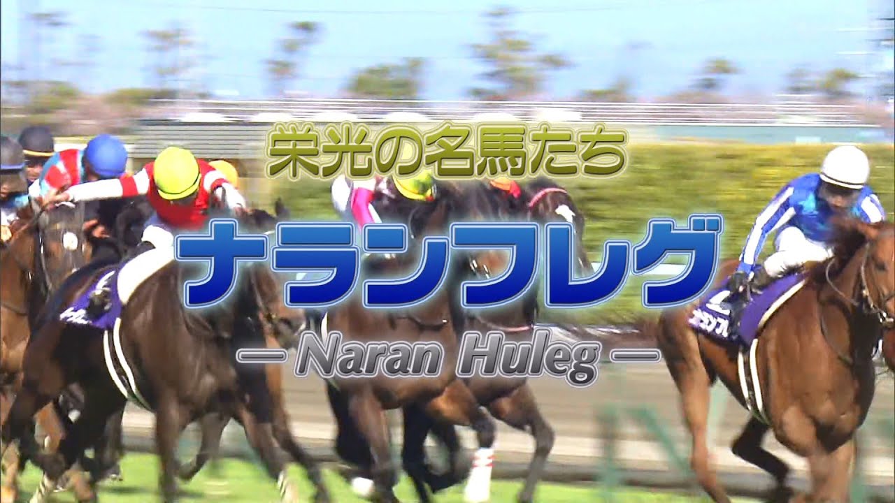 栄光の名馬たち「ナランフレグ」ノーカット版【高画質、高音質】