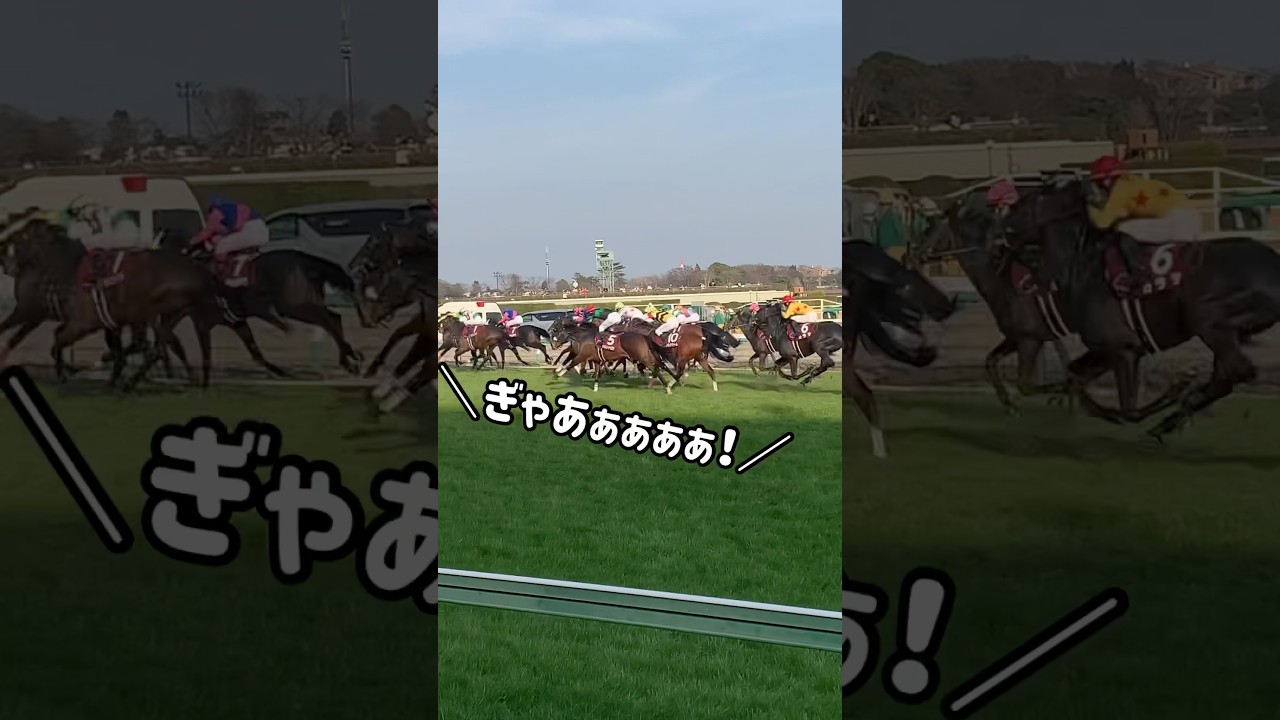 カラテ兄さん…近いです…！発馬機をじっくり観察できた(？！)中谷記念観戦レポート④お仕事の依頼はタレントエージェンシーBless youへ！✉️ comecome@owblessyou.com