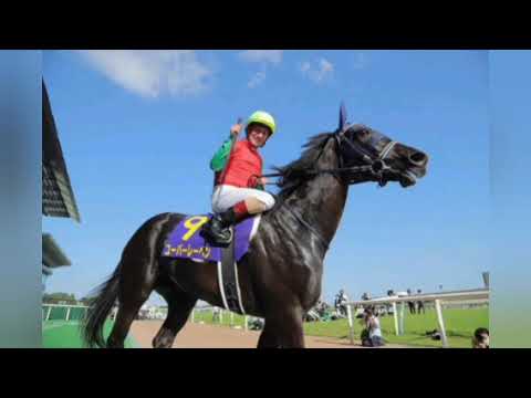 オークス馬ユーバーレーベンに初仔の牡馬が誕生! Japanese sports]
