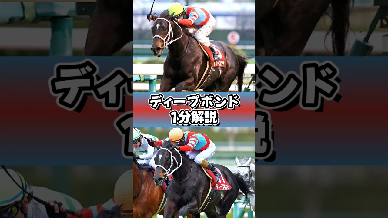 こしあん「ﾓｰｲなんて言ってないﾌﾟﾎﾞ」 #ディープボンド #モーイ #1分解説 #shorts