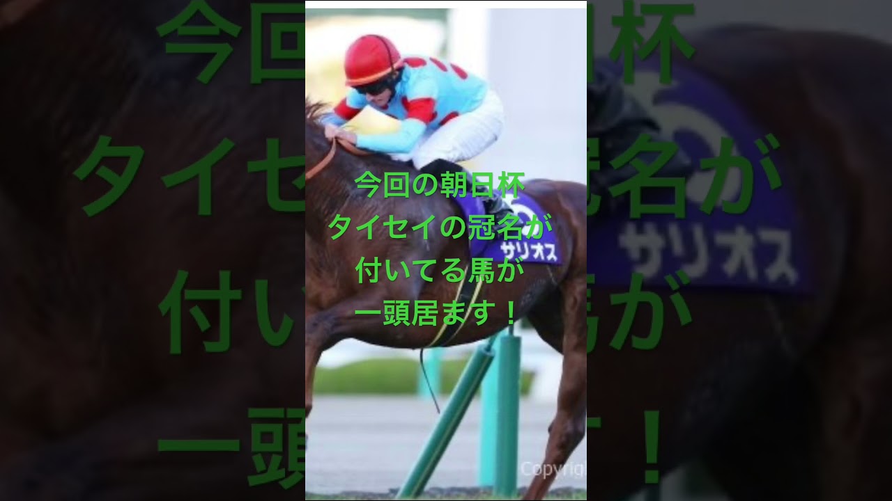 朝日杯フューチュリティステークス 2024  サイン馬券予想考察②
