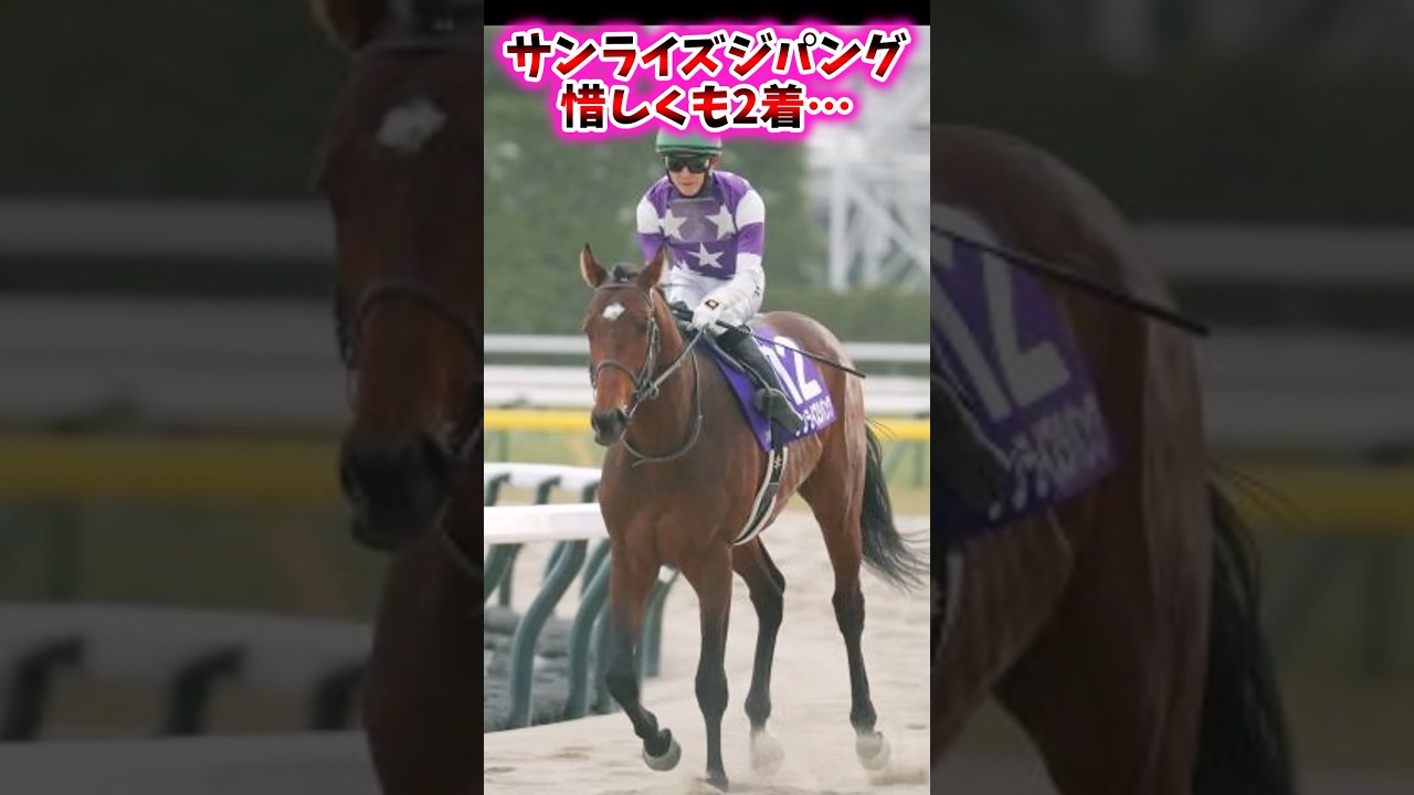 サンライズジパング惜しくも2着…【競馬反応集】 #フェブラリーステークス #サンライズジパング