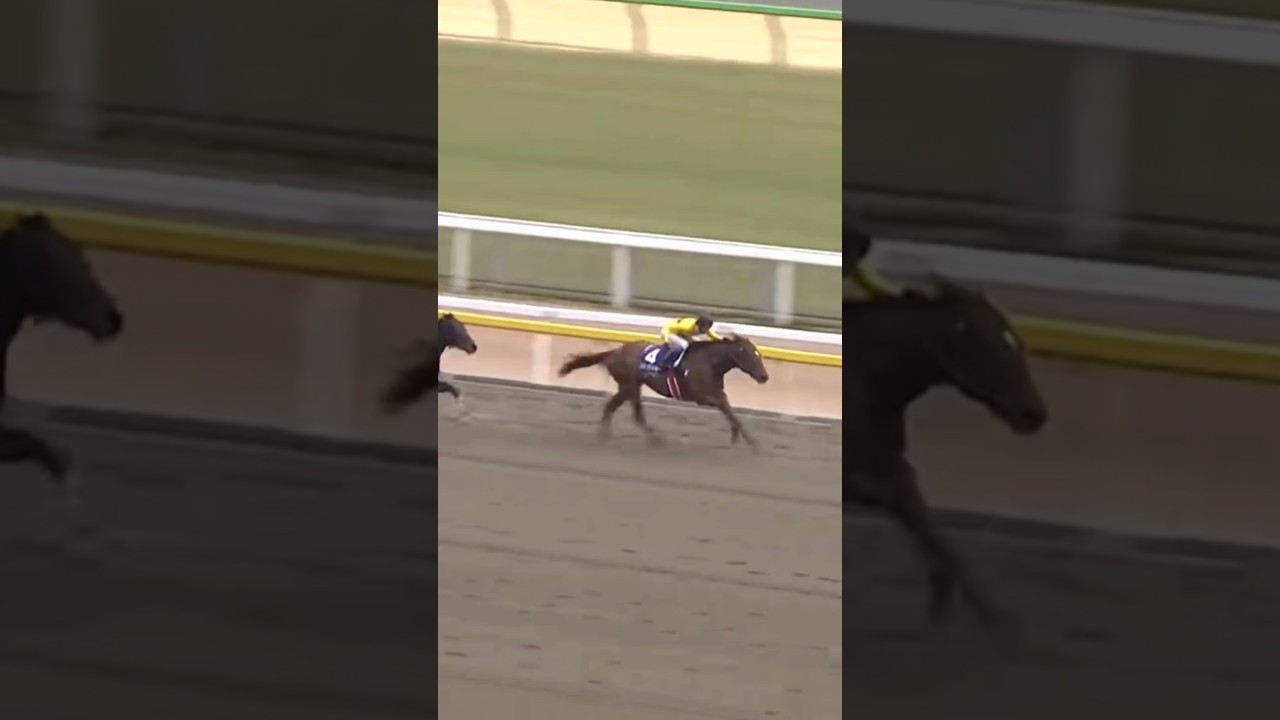 #shorts 2015 フェブラリーステークス #コパノリッキー #武豊