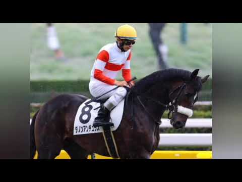 2021年オークス馬ユーバーレーベンに父イクイノックスとの男の子が誕生[Japanese sports]