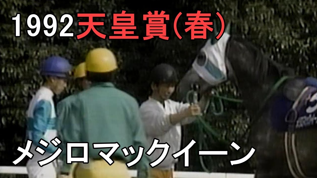 メジロマックイーン 1992年(平成4年)第105回天皇賞(春)(G1)