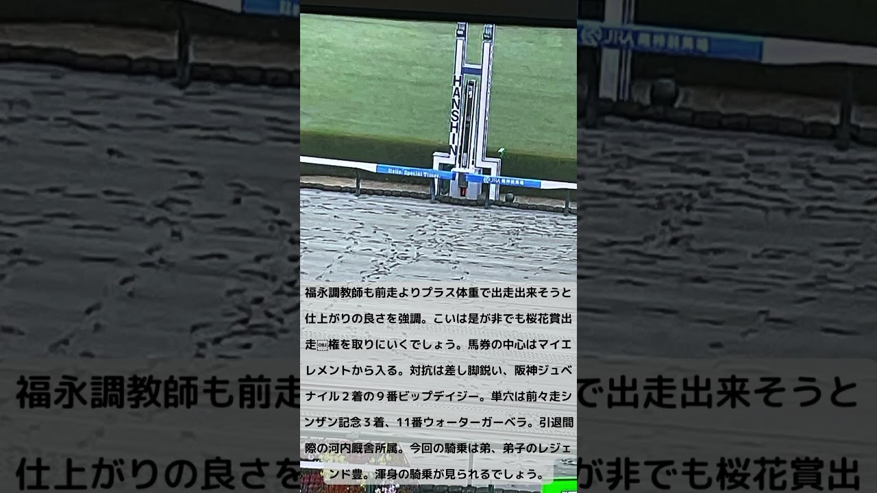 桜花賞トライアル チューリップ賞 マイエレメントに大注目！