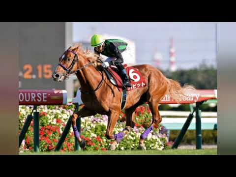 【4歳以上次走報】ボルドグフーシュは大阪杯を目指す[Japanese sports]