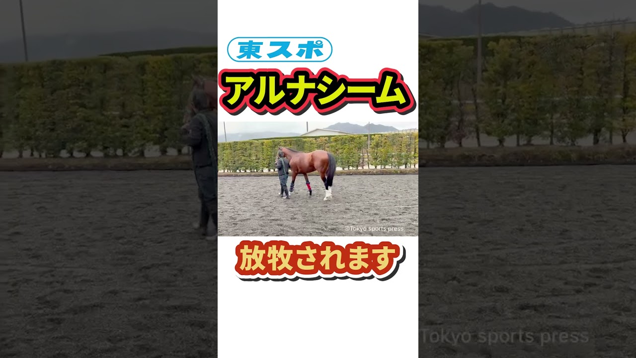 #大阪杯 に向け #アルナシーム 放牧へ🐎 #東スポ競馬 #shorts