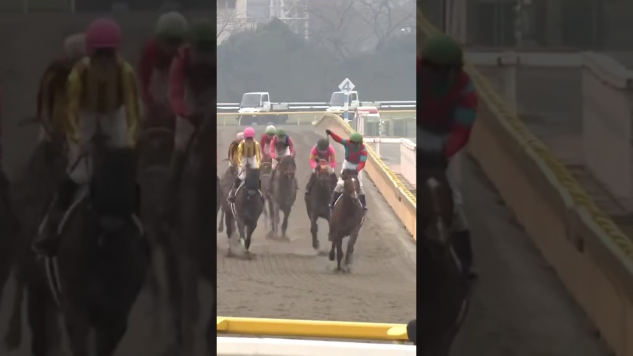 #shorts 2011 フェブラリーステークス #トランセンド #藤田伸二