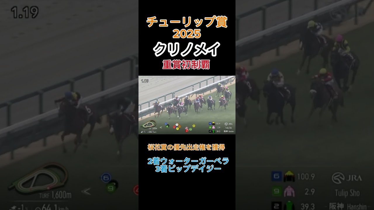 【競馬】クリノメイがチューリップ賞GⅡを制覇 桜花賞に名乗りをあげる！#競馬 #チューリップ賞 #クリノメイ #ビップデイジー #ウォーターガーベラ #阪神競馬場 #桜花賞2025 #桜花賞