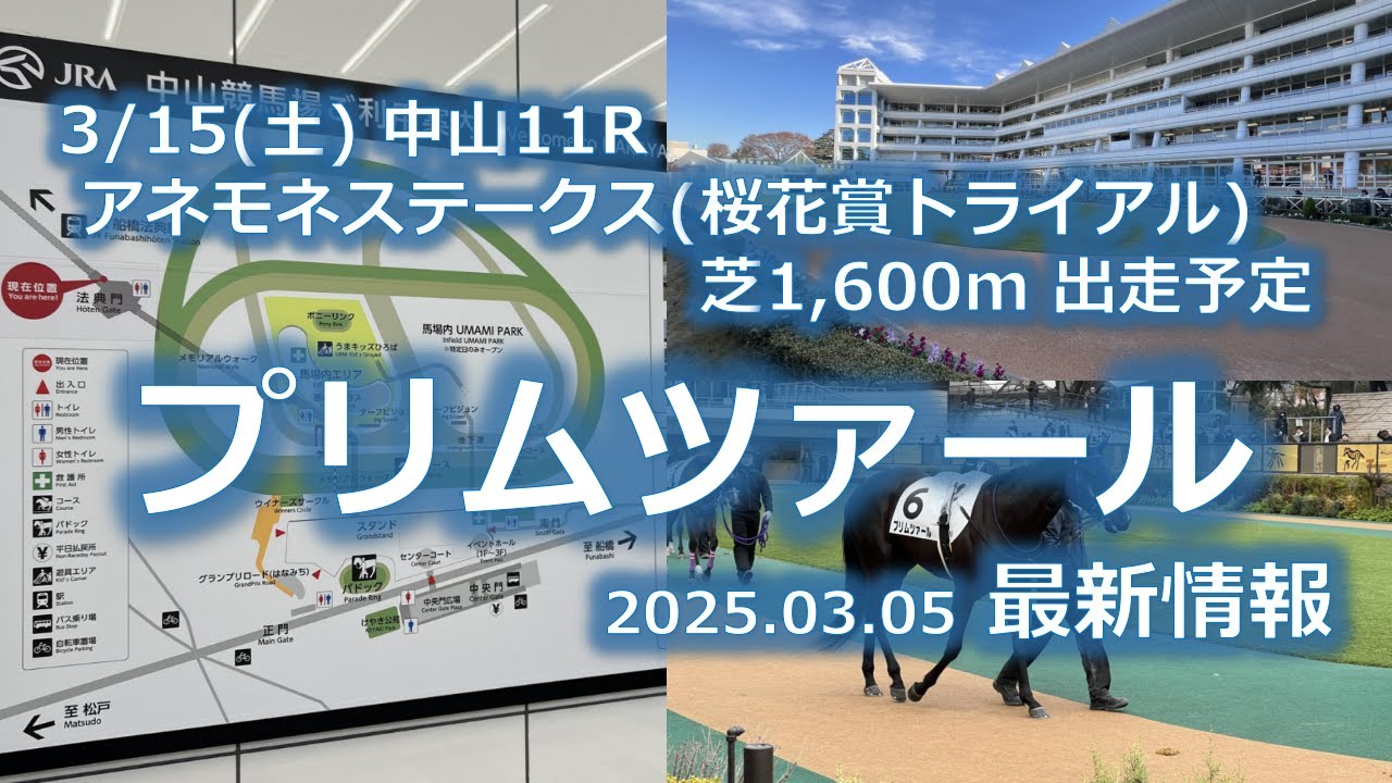 プリムツァール 3/15(土) 中山11R アネモネステークス(桜花賞トライアル) 芝1,600m 出走予定(2025.03.05 最新情報)