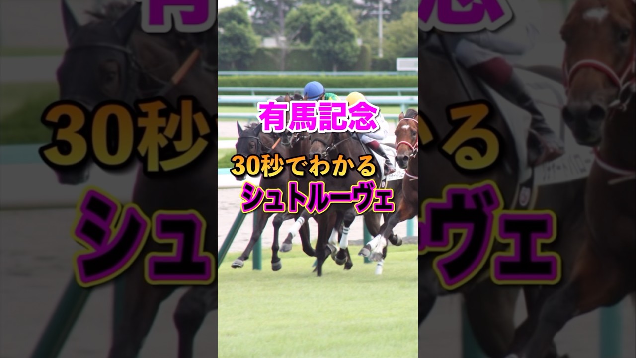 【有馬記念2024】30秒でわかるシュトルーヴェ
