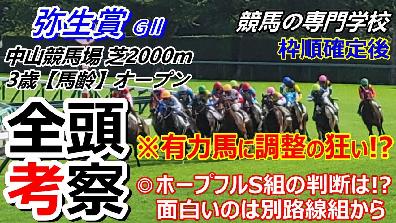 【弥生賞2025】全頭考察 難しいホープフルS組の判断