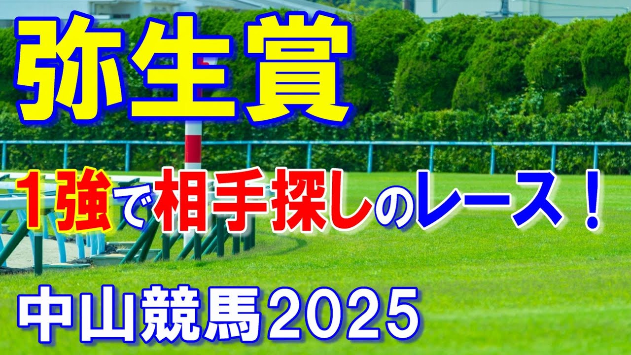 弥生賞２０２５【中山競馬予想】勝って皐月賞でも主役に！