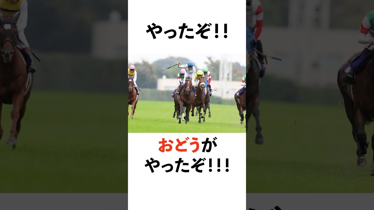 【祝】おどうが勝ったぞ！！天皇賞・秋
