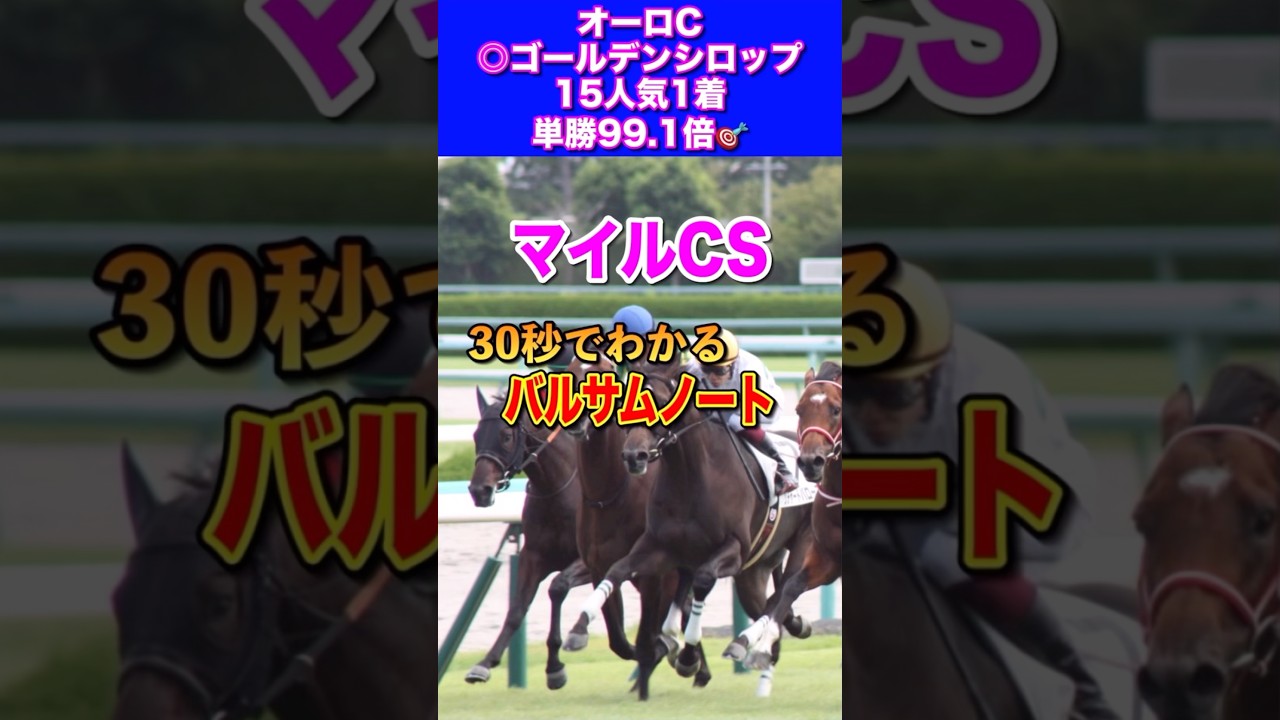 【マイルチャンピオンシップ2024】30秒でわかるバルサムノート