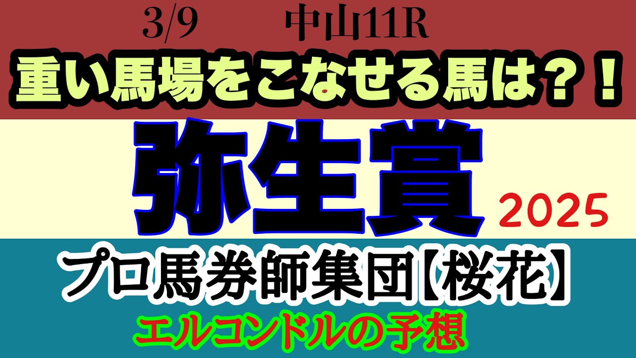 エルコンドル氏の弥生賞2025予想！！明日は雪と雨の影響で重い馬場になるか？！馬場適性が読みづらく非常に難解な一戦に！