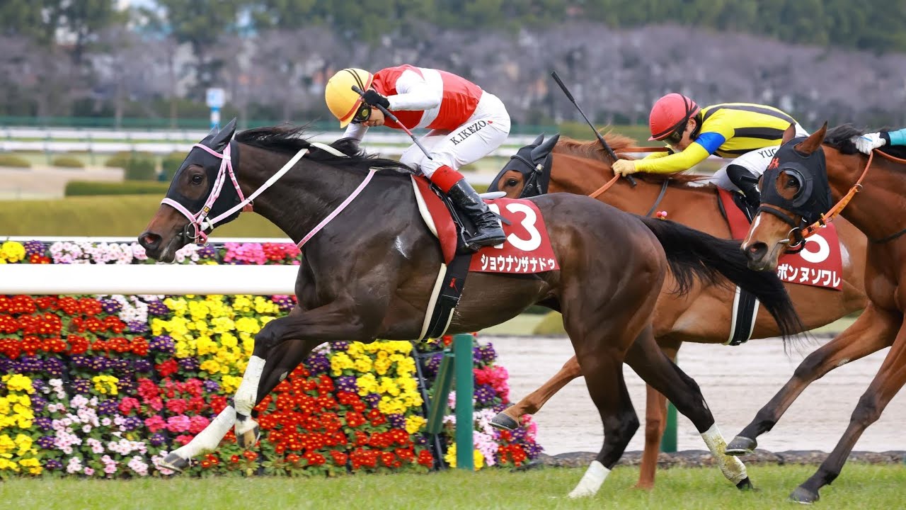 【重賞】第59回報知杯フィリーズレビュー(桜花賞トライアル)実況[優勝馬　ショウナンザナドゥ　池添謙一騎手]