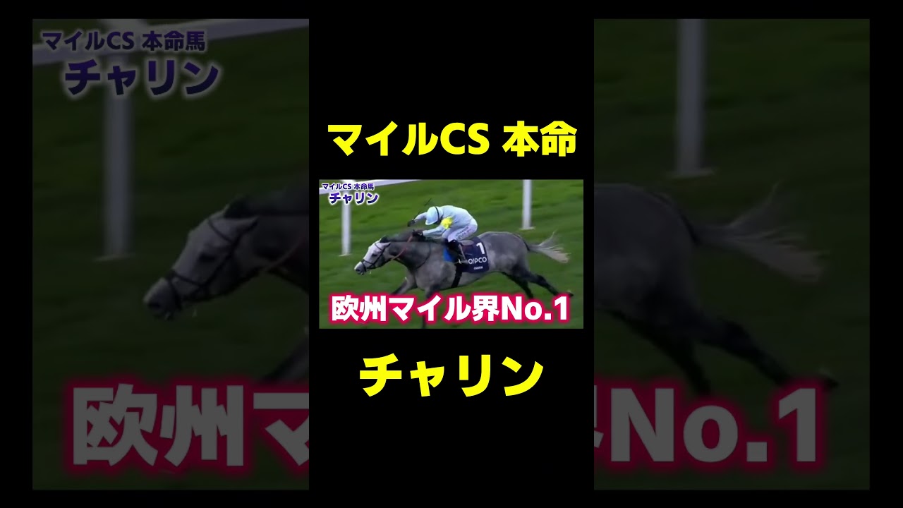マイルCSの大本命 チャリン　#競馬 #マイルチャンピオンシップ #マイルcs
