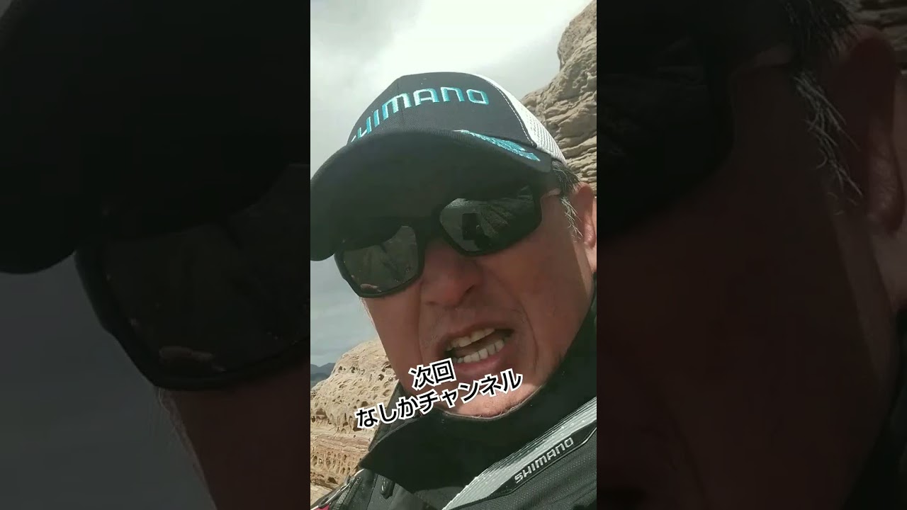 SHIMANOジャパンカップ黒鯛、次回の動画……お楽しみに👍#チヌ釣り #SHIMANO #磯釣り
