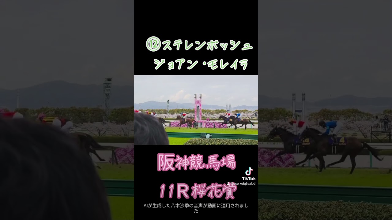 2024年桜花賞　ステレンボッシュ　モレイラ　#shorts