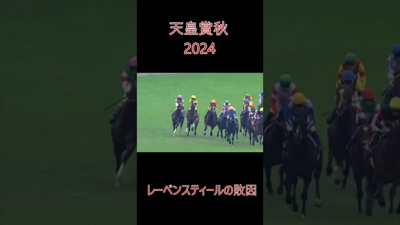 天皇賞秋2024　レーベンスティールの敗因解説　元馬術選手のコラム