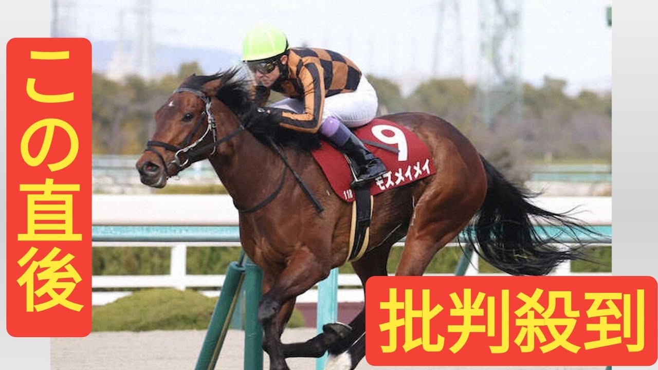前川厩舎に転厩したモズメイメイは高松宮記念へ　指揮官はJRA史上初の女性調教師