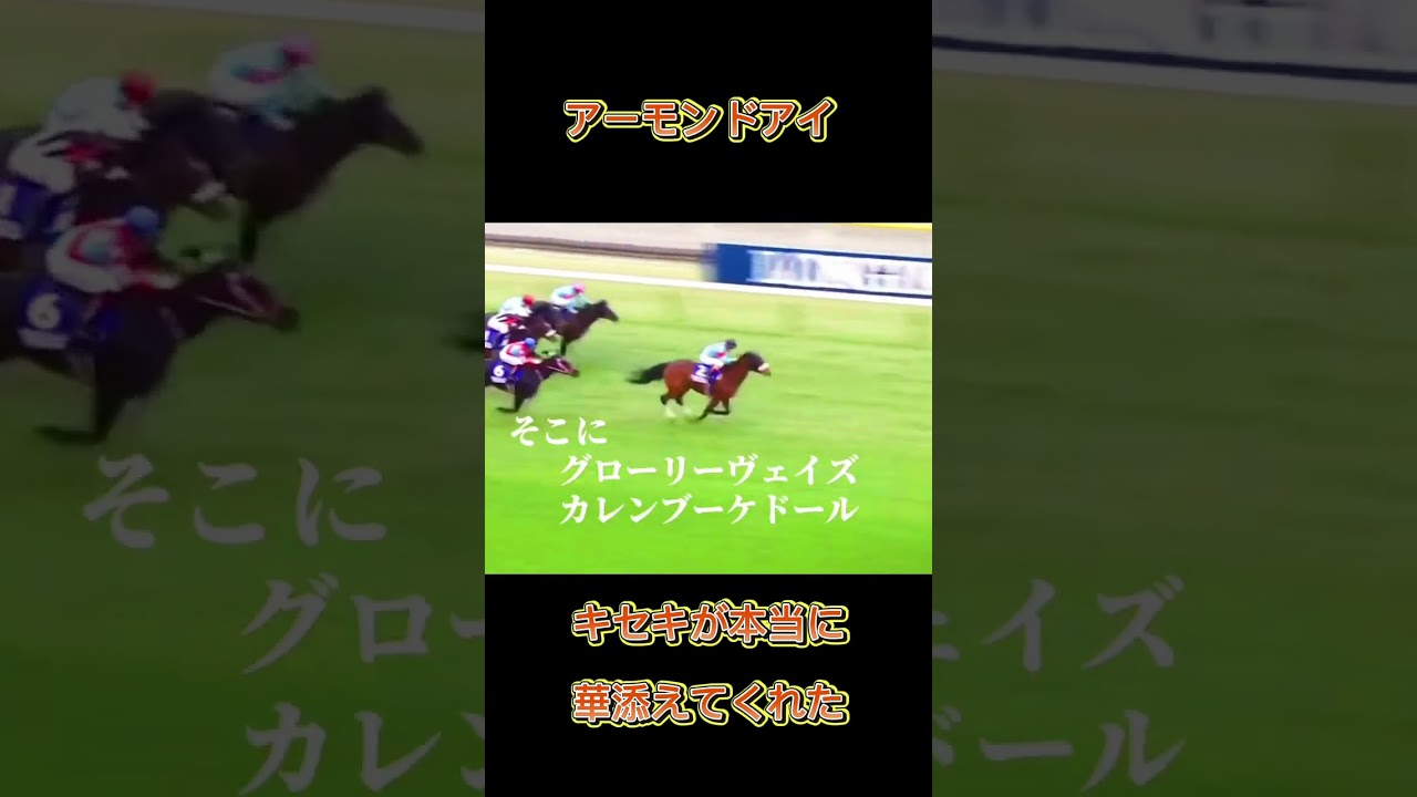 ジャパンカップのアーモンドアイ」最後、ルメールがアーモンドアイに拍手送ってるところで涙腺崩壊しました。このJCはキセキも舞#競馬 #競馬予想 #馬 #shorts