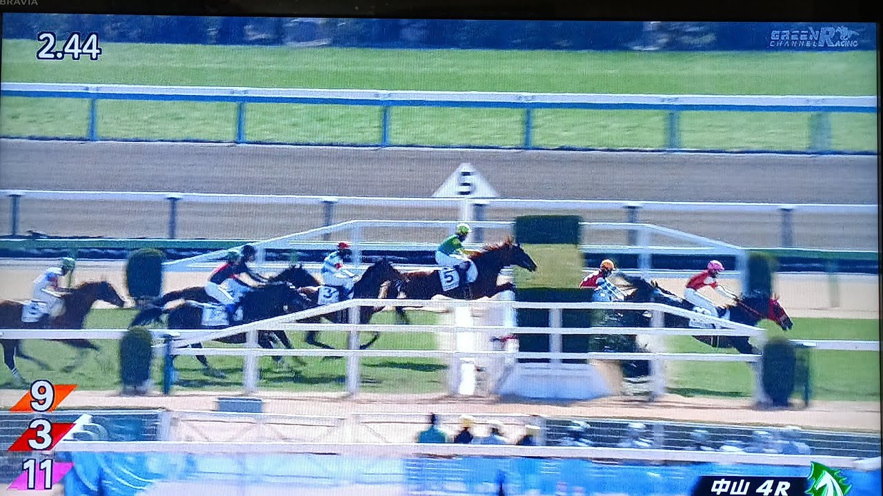中山4レース障害未勝利 テンメジャーガール