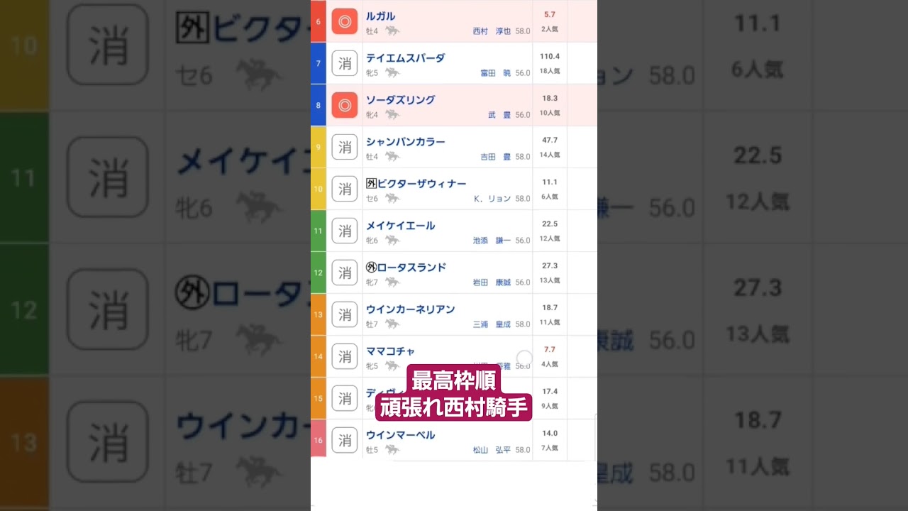 高松宮記念G1◎ルガル#最高枠順#競馬 #競馬予想動画 #高松宮記念2024#shortvideo
