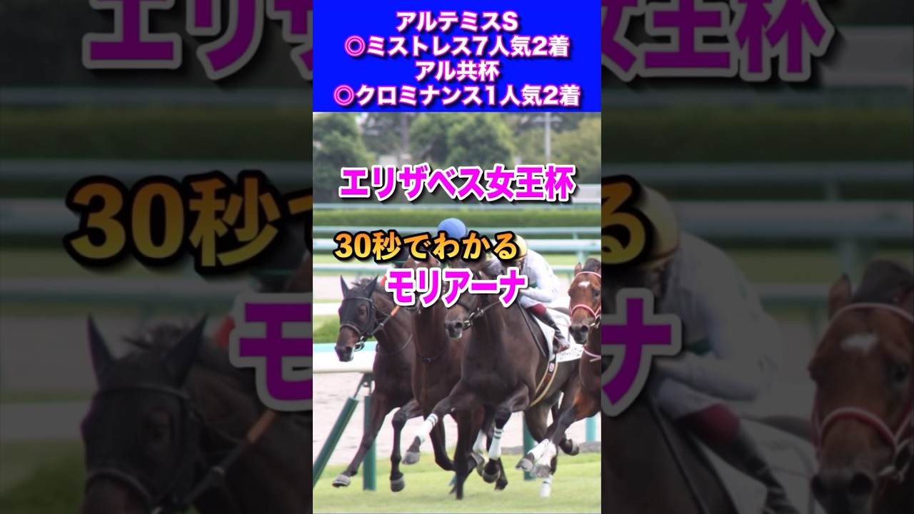 【エリザベス女王杯2024】30秒でわかるモリアーナ