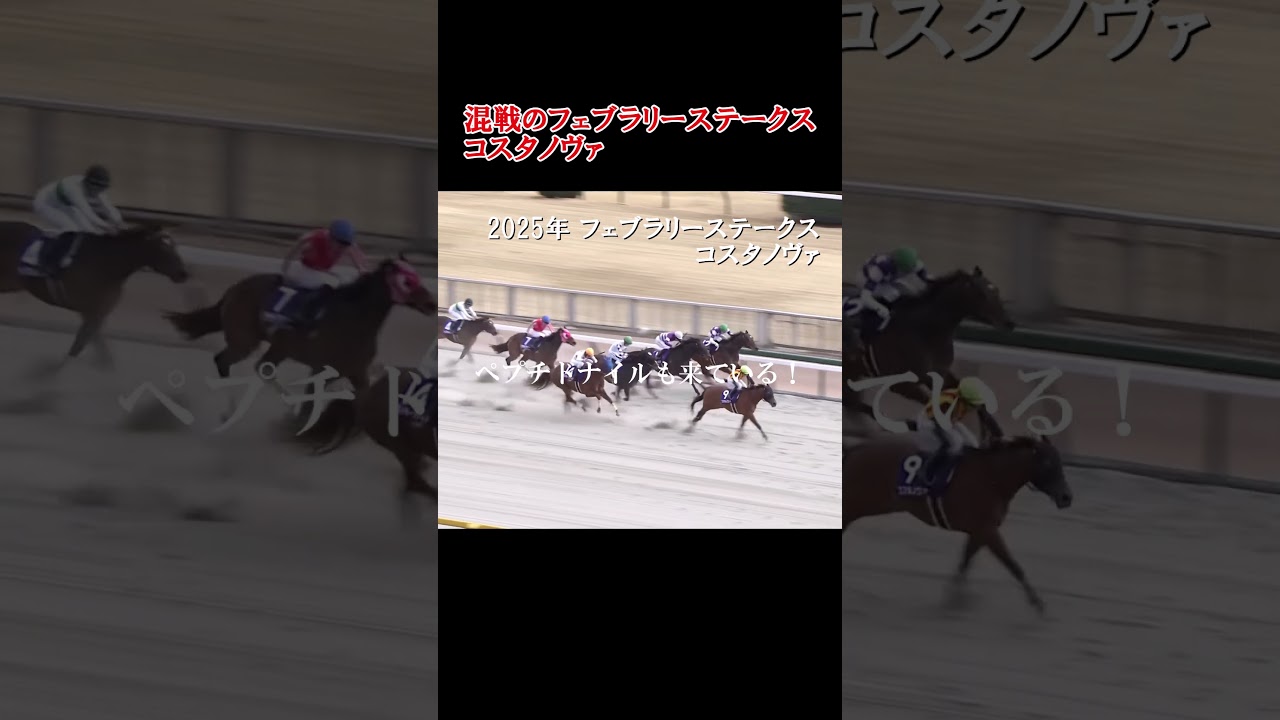 2025年フェブラリーステークス　コスタノヴァ【レイチェルキング】