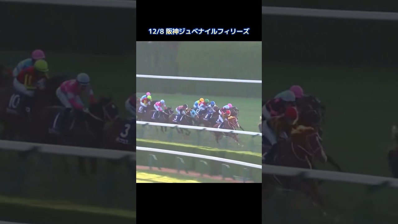 [阪神ジュベナイルフィリーズ2024】 今年は京都.。#競馬 #競馬予想 #馬 #shorts