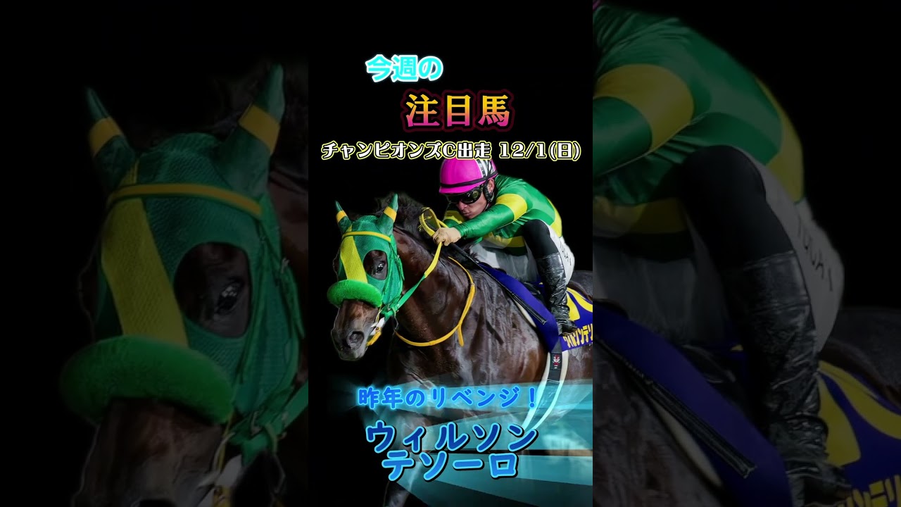 今週はダートのGI€チャンピオンズカップが行われます!#チャンピオンズカップ #競馬 #競馬予想 #馬 #shorts
