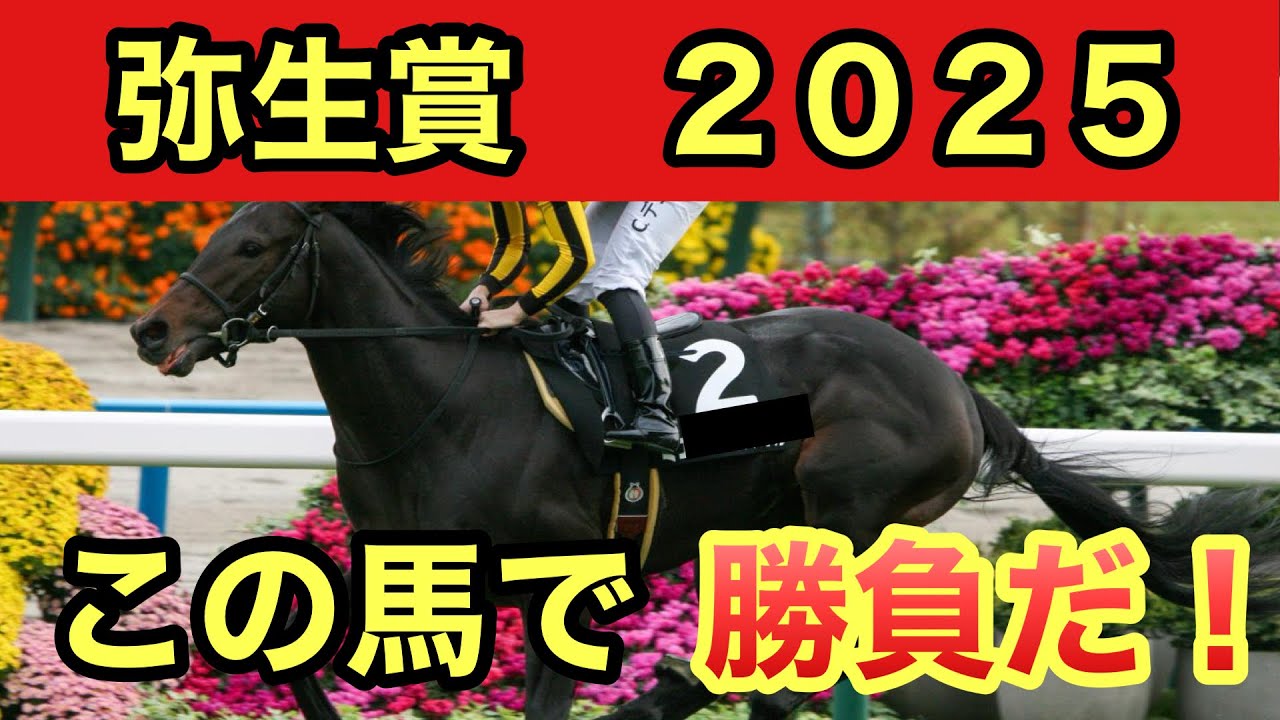 【弥生賞予想・2025】皐月賞トライアル！あの馬に注目します！！予想・データを発表します！！