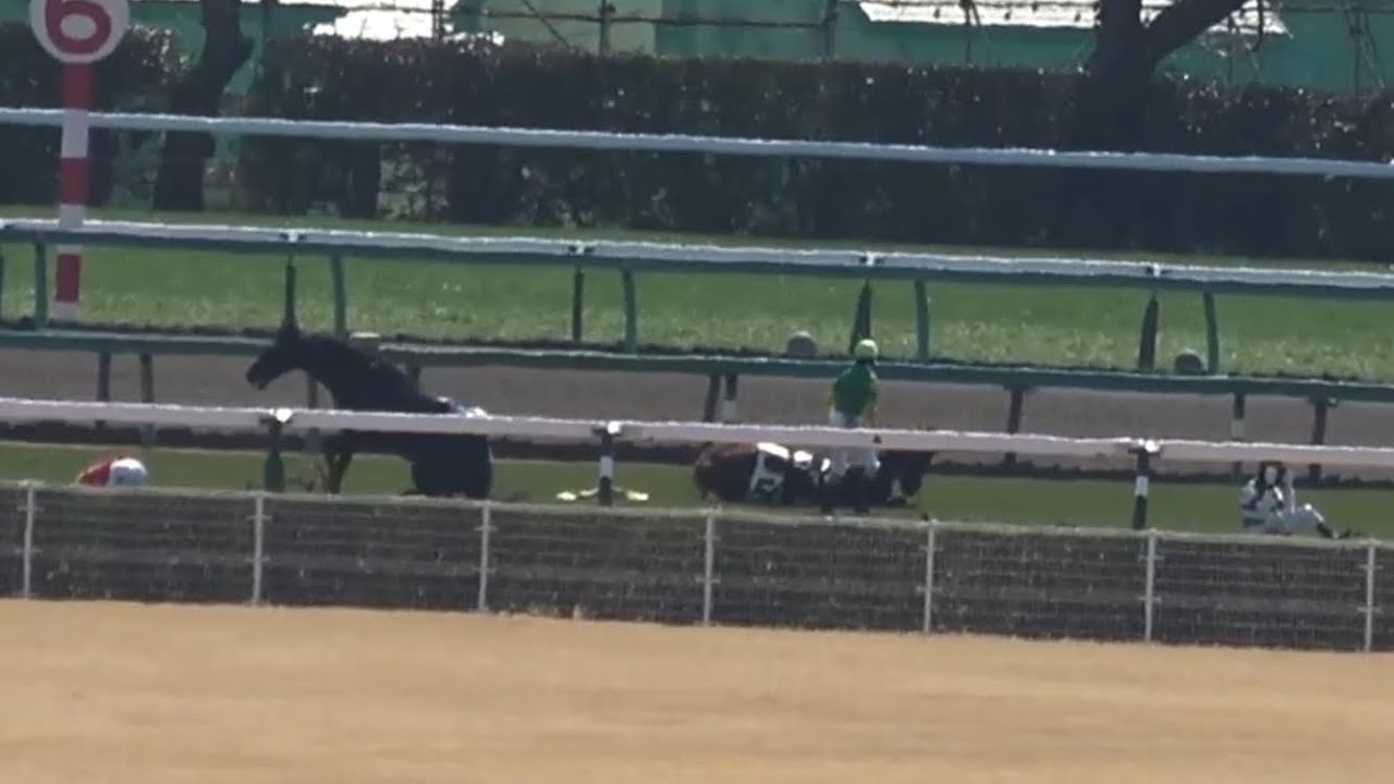 【閲覧注意】多重落馬事故発生 障害戦で５頭落馬 1番人気2番人気も競走中止  【中山競馬場】