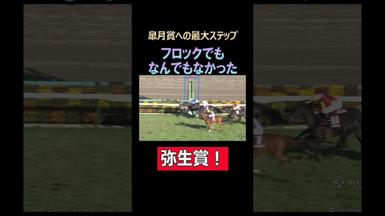 皐月賞への最大ステップ弥生賞！勝ち馬はフロックでもなんでもなかった！#中山競馬場  #皐月賞 #弥生賞 #ファウストラーゼン #競馬