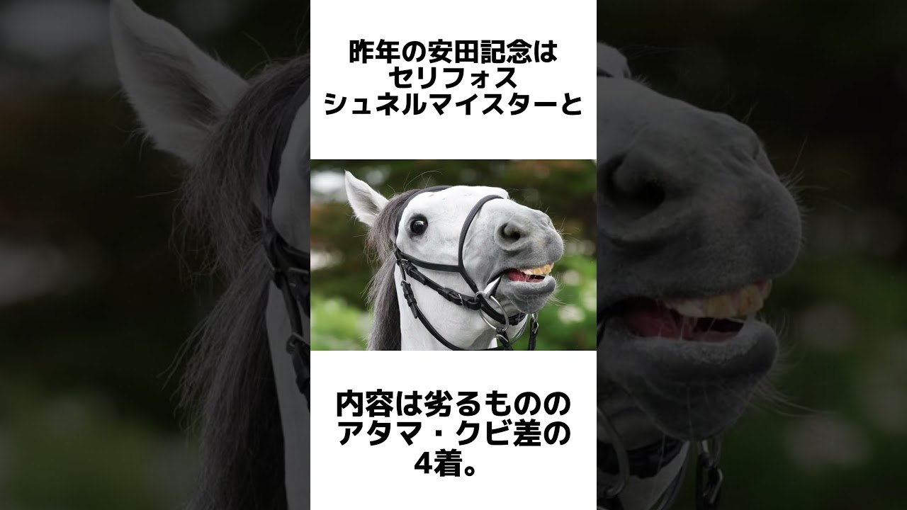 【安田記念2024】ガイアフォースについて　#安田記念　#ダノンスコーピオン #セリフォス #ソウルラッシュ #ロマンチックウォリアー #ナミュール ヴォイッジバブル #ガイアフォース