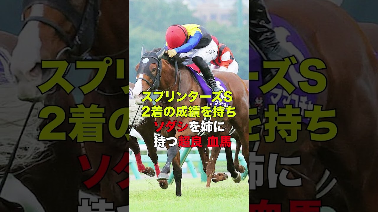 【高松宮記念】この馬が来ない時は競馬は終わりや！＃競馬＃ #中央競馬予想＃高松宮記念＃ナムラクレア＃shorts＃馬券