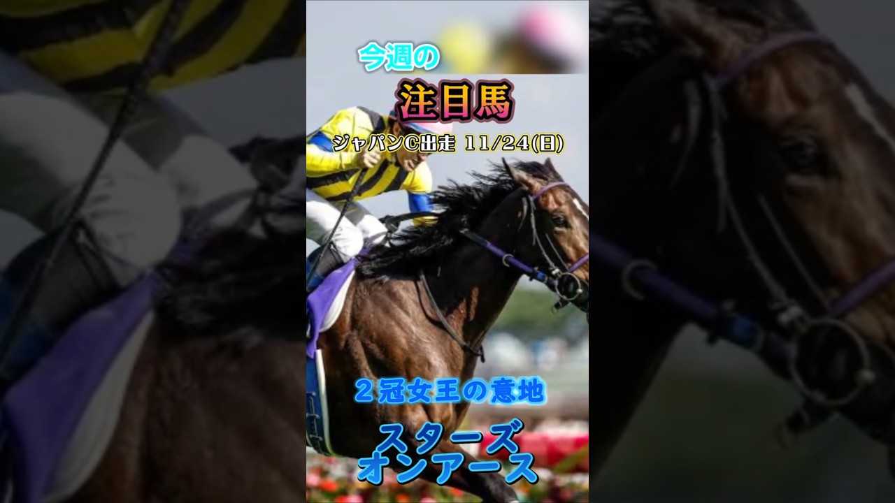 今週はいよいよジャパンカップです!競馬ジャパンカップ#競馬 #競馬予想 #馬 #shorts