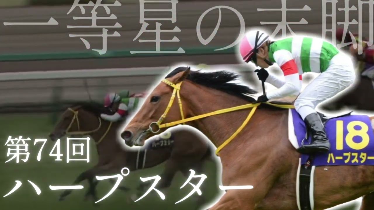 競馬ファン(視聴者様)が選ぶ『桜花賞』BEST10　投票は概要欄のリンクから