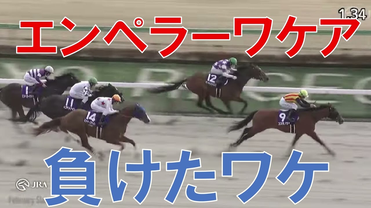 フェブラリーステークス レース回顧  2025　エンペラーワケアが負けたワケ　ペプチドナイル藤岡佑介の騎乗に批判の声　一番強い競馬をしたのは？