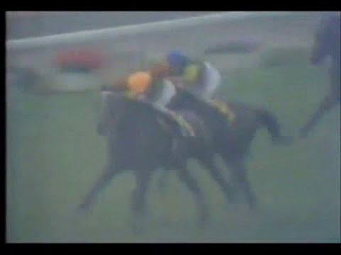 1975年天皇賞春　イチフジイサミがキタノカチドキとの接戦制す