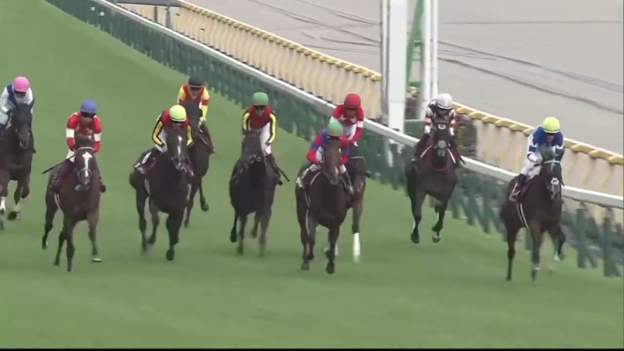 高松宮記念(GI)  2024   参考レース集