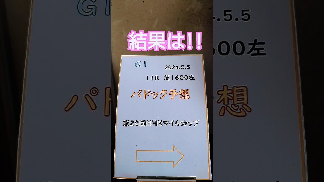 第29回NHKマイルカップ(G1)11R芝1600左 東京 パドック予想結果🐴