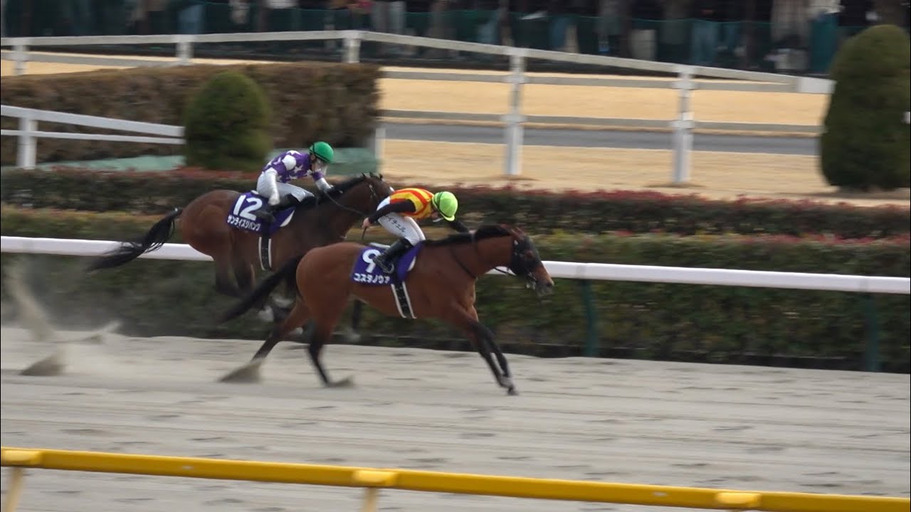 【フェブラリーS 2025】コスタノヴァ キング騎手 女性騎手初のG1制覇！【現地レース映像】
