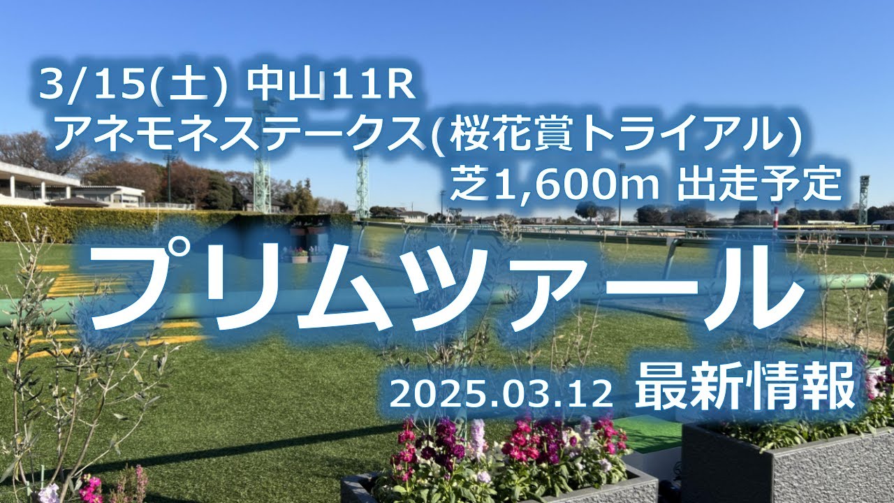 プリムツァール 3/15(土) 中山11R アネモネステークス(桜花賞トライアル) 芝1,600m 出走予定(2025.03.12 最新情報)