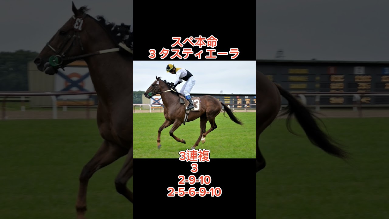 【大阪杯2024】最終予想！#大阪杯 #予想 #本命 #買い目