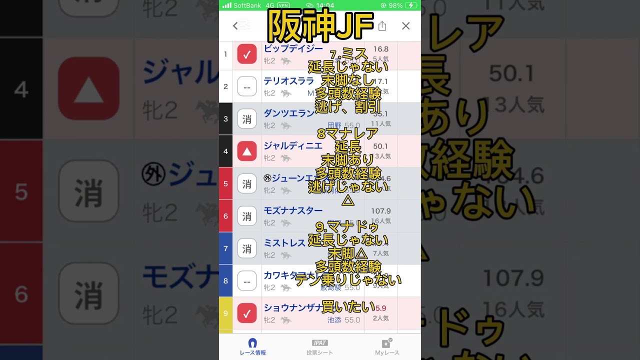 難しい2歳戦これ見れば全てがわかる！【阪神ジュベナイルフィリーズ】#阪神jf #競馬