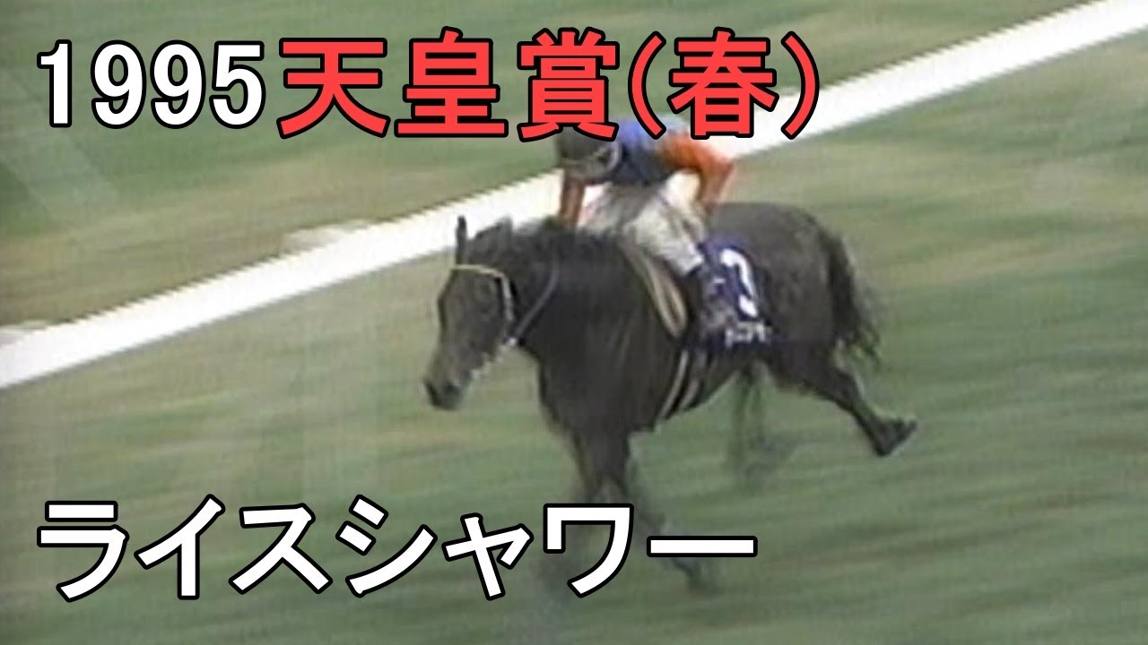 ライスシャワー 1995年(平成7年)第111回天皇賞(春)(G1)